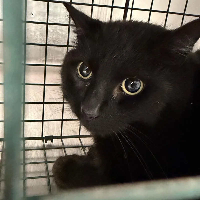 Stu Macher thumbnail 2