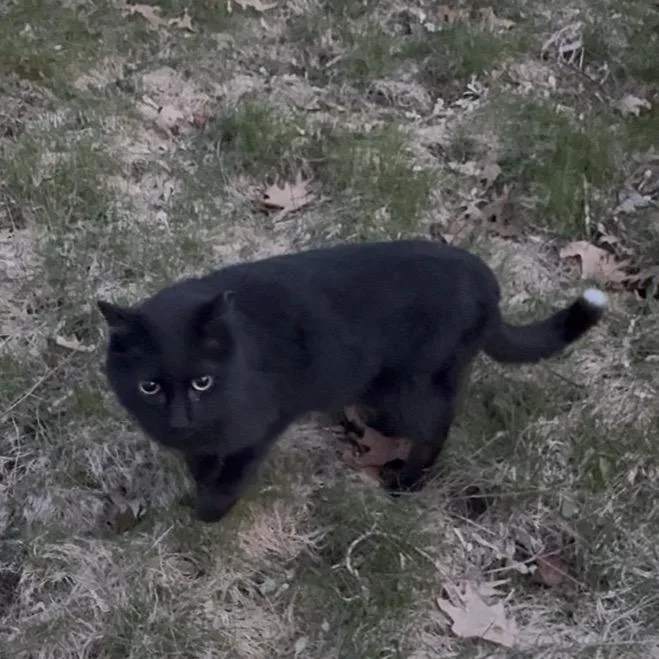 Stu Macher thumbnail 3