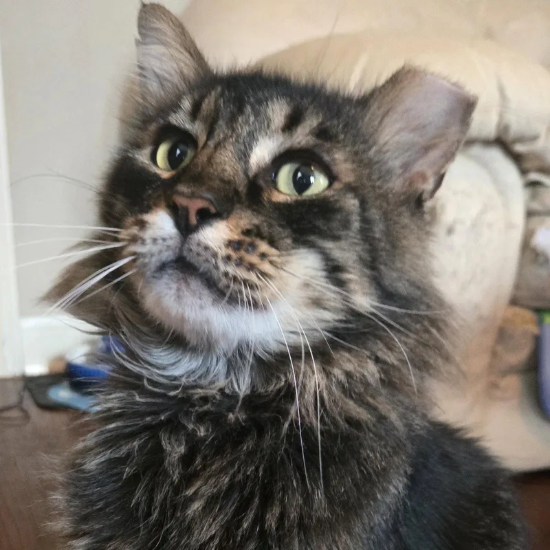 Buddy bondedtoPina