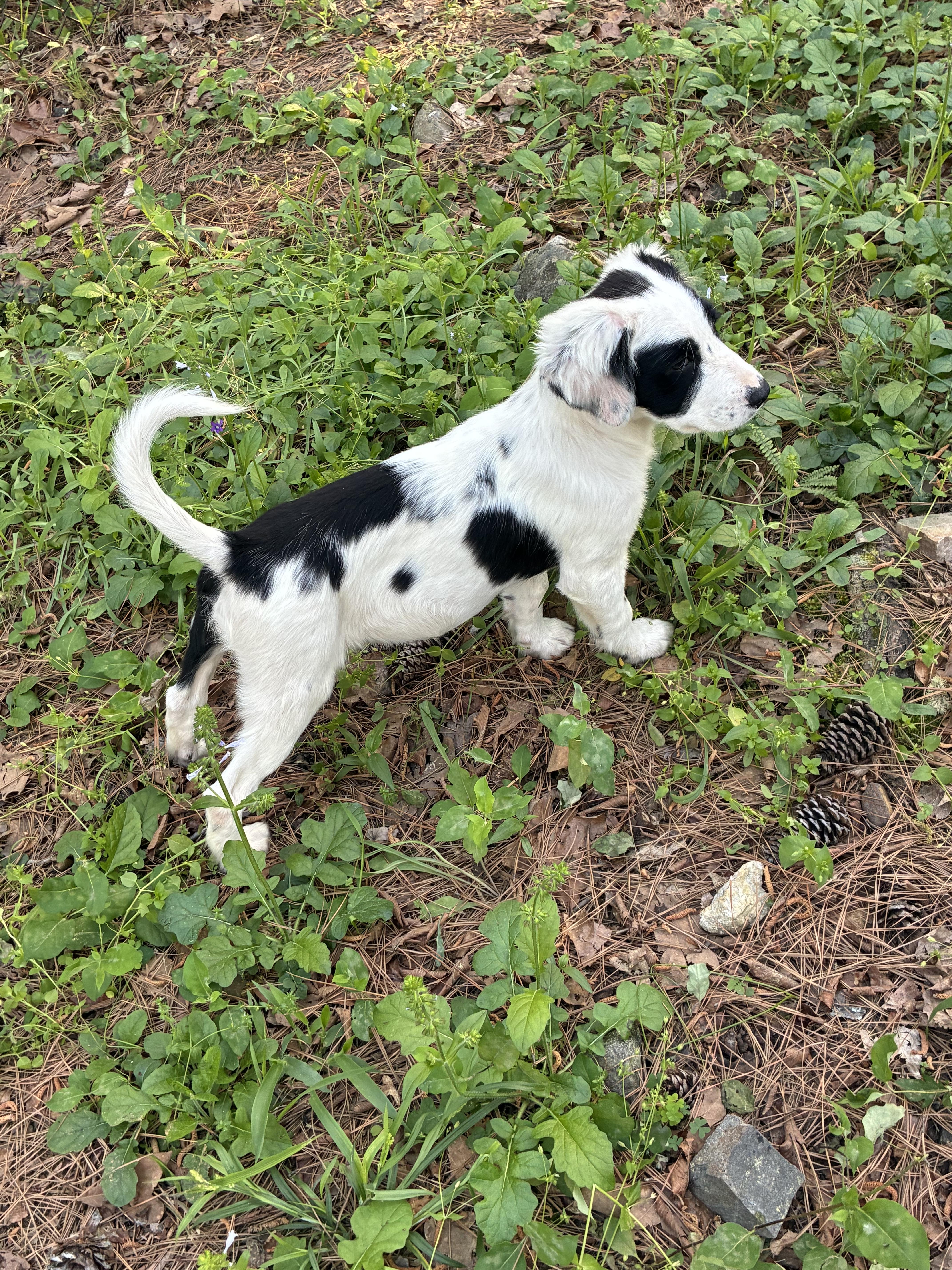 Talia  Heaven Sent! thumbnail 2