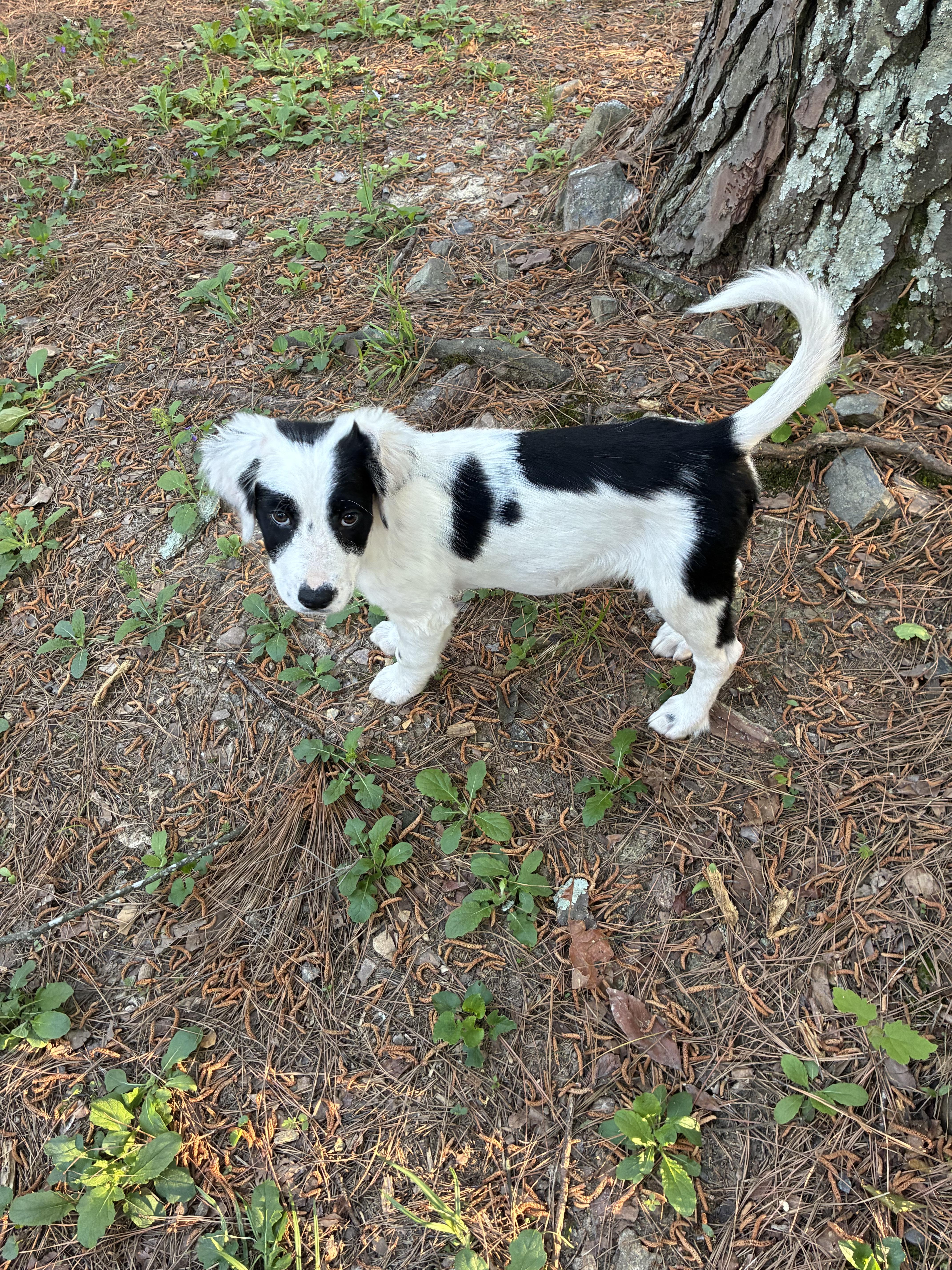 Talia  Heaven Sent! thumbnail 3