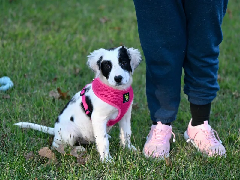 Talia  Heaven Sent! thumbnail 4