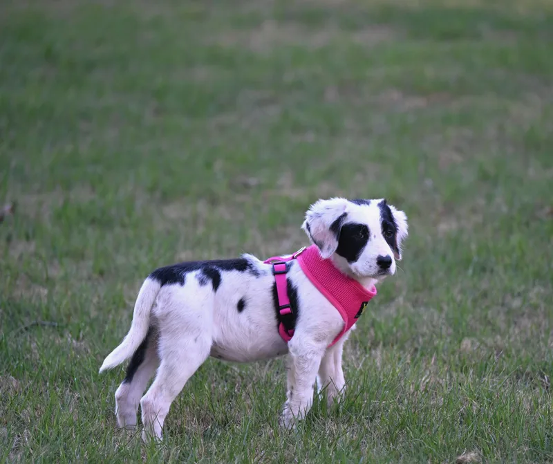 Talia  Heaven Sent! thumbnail 5