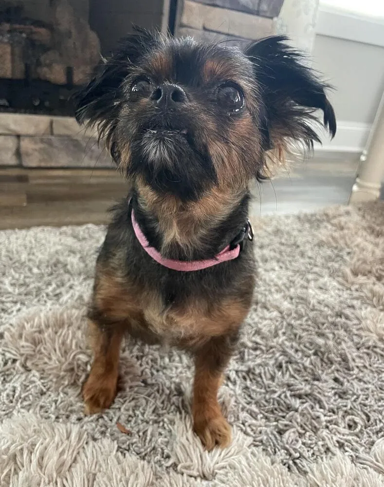 Mimi