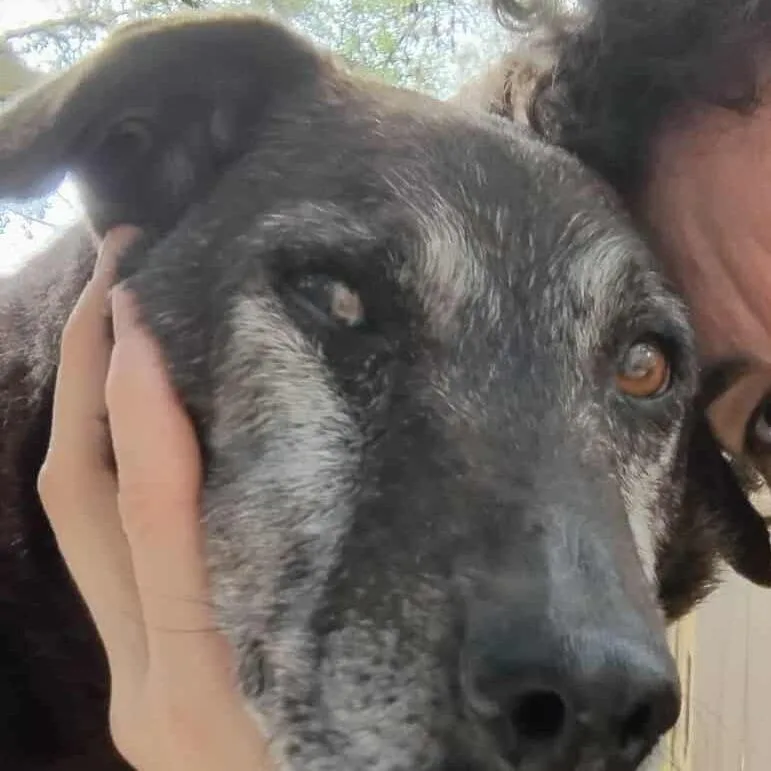 Blackey Vi thumbnail 3