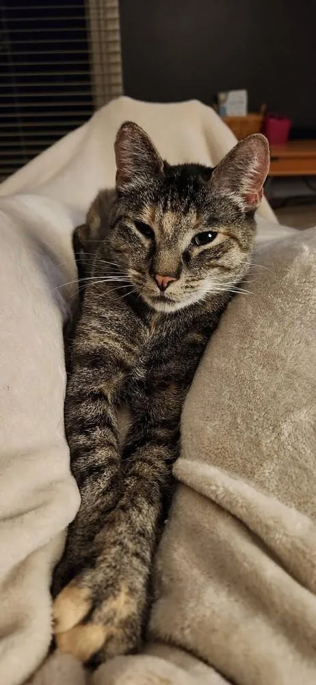 Mercedes thumbnail 2