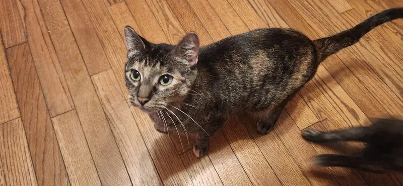 Mercedes thumbnail 3