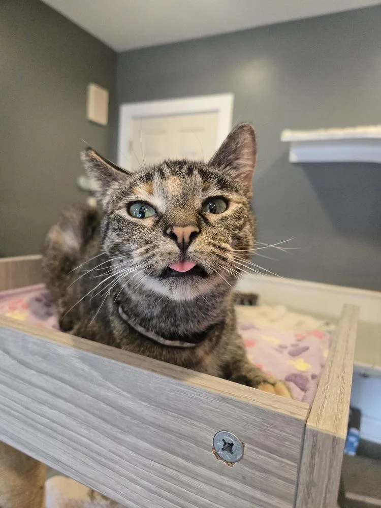 Mercedes thumbnail 4