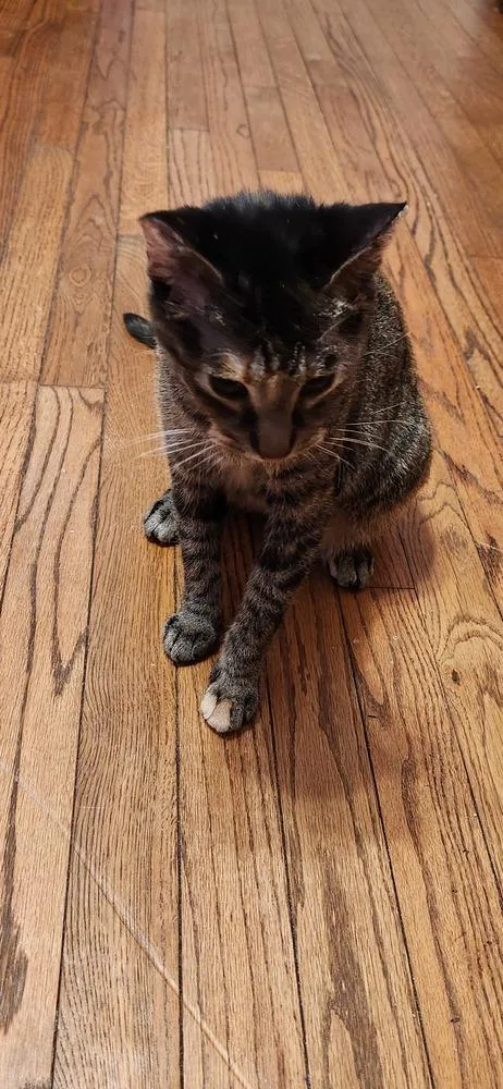 Mercedes thumbnail 5