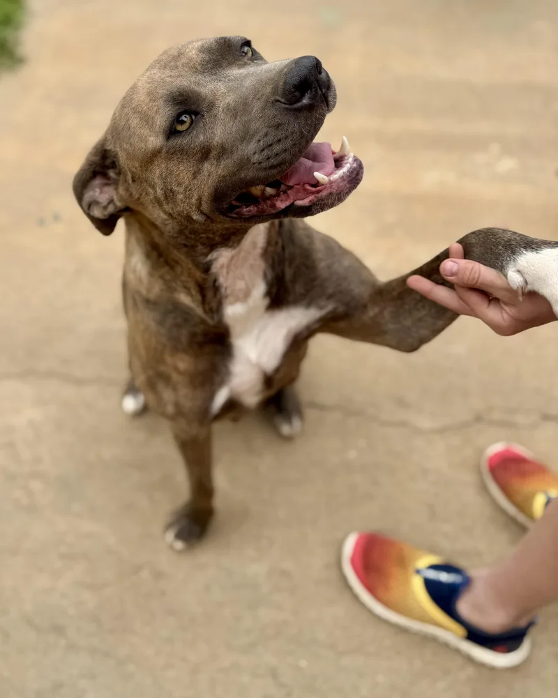 Rosie See Video thumbnail 2