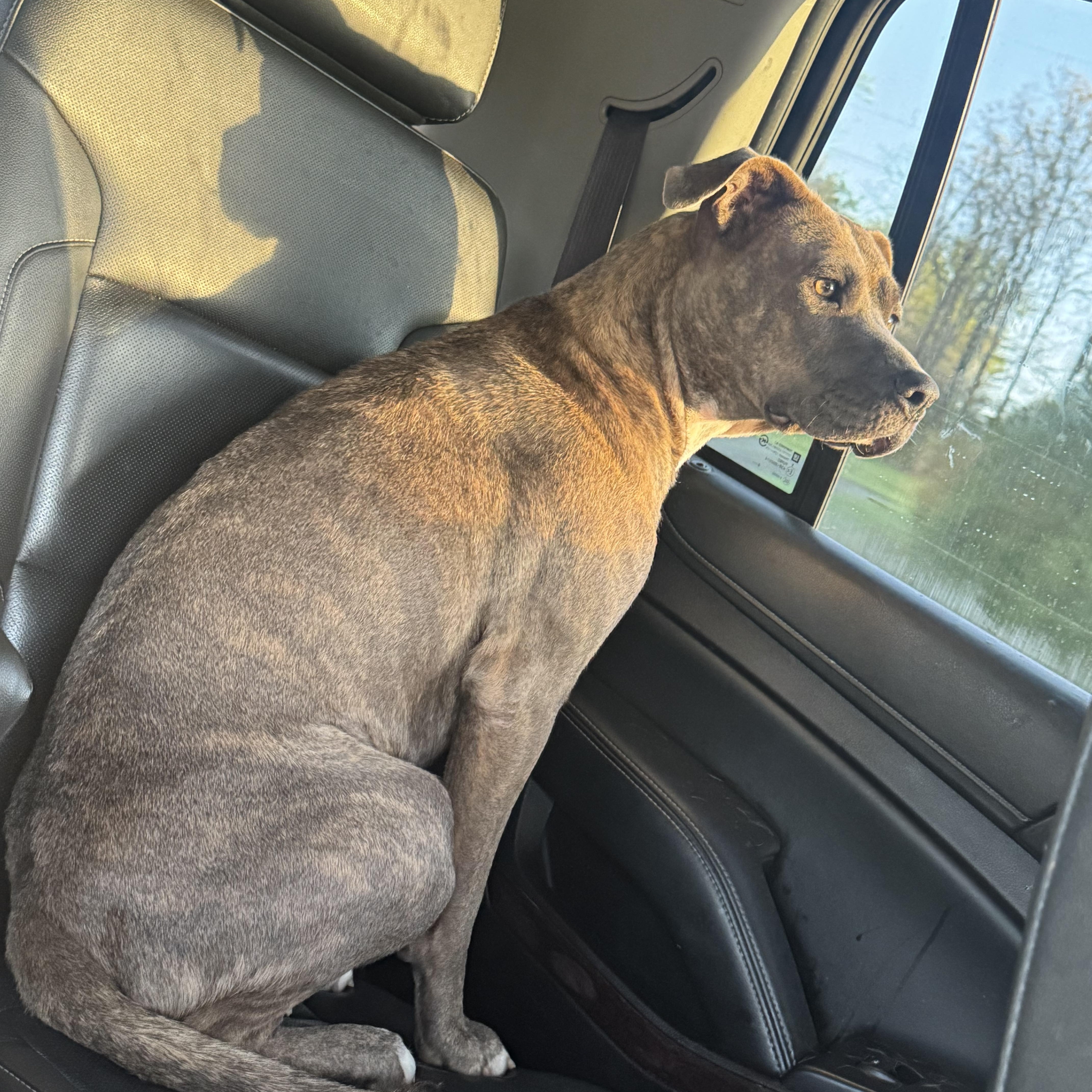 Rosie See Video thumbnail 3