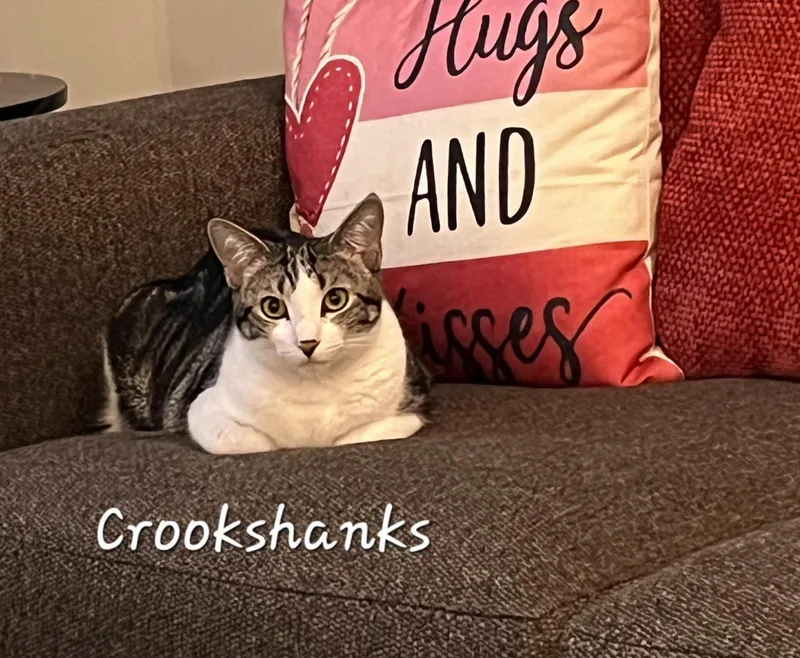 Crookshanks thumbnail 2