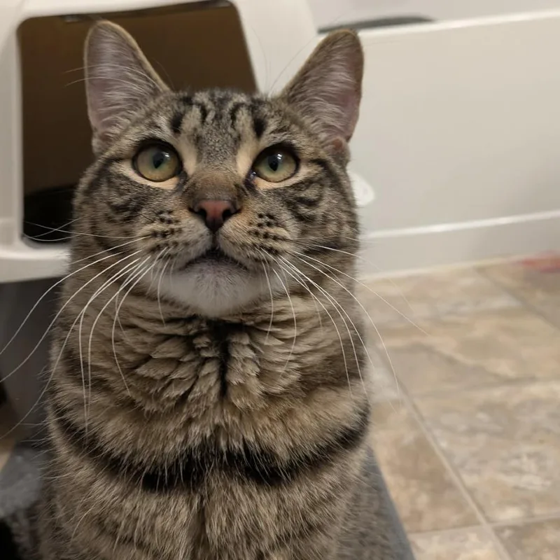 Chad Michael Purray thumbnail 3