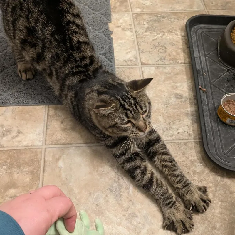 Chad Michael Purray thumbnail 5