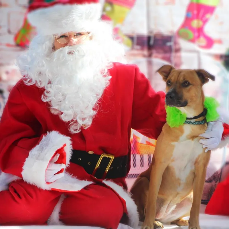 Lanie Jum thumbnail 3