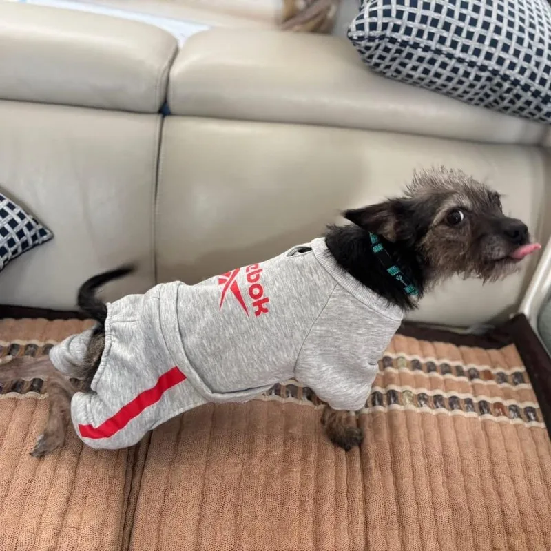 Lil' Elle thumbnail 2