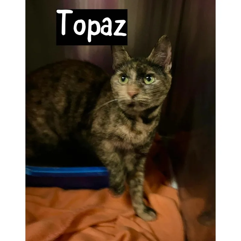 Topaz