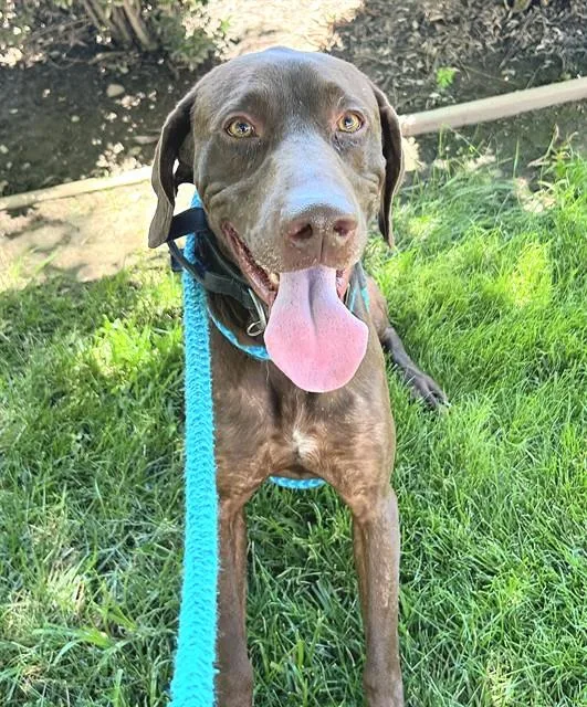 Ruger