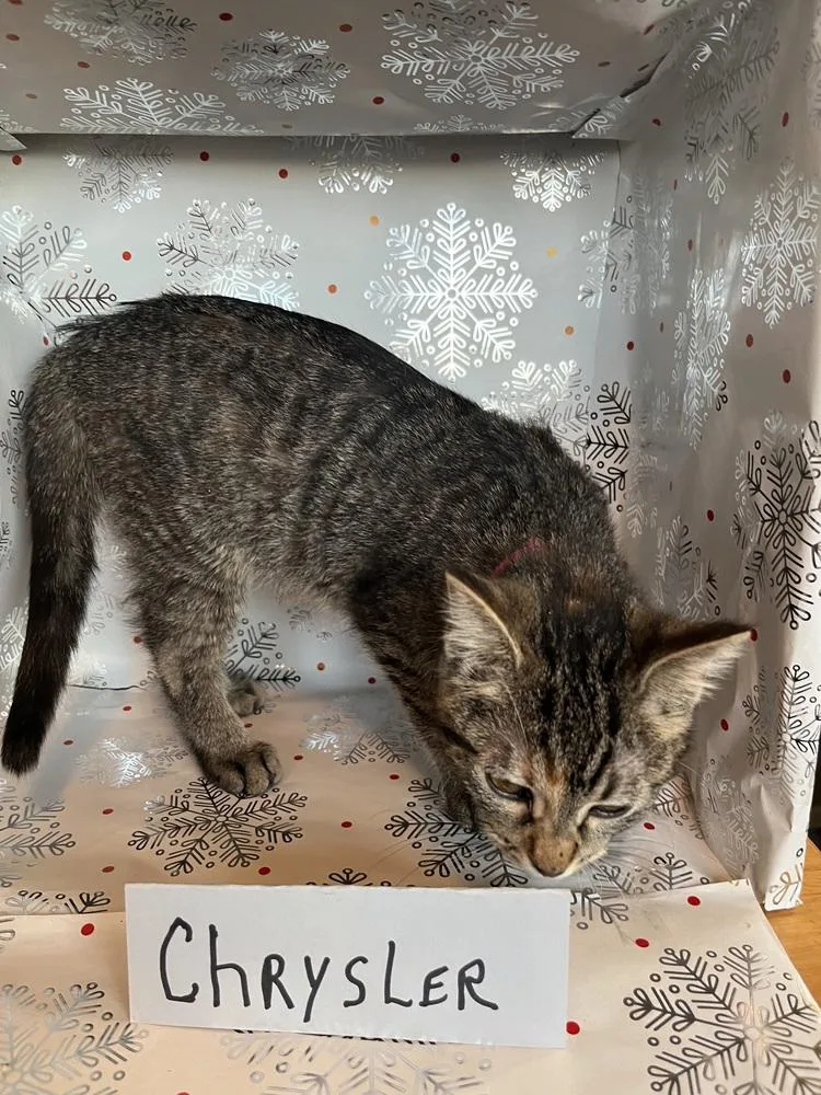 Chrysler thumbnail 2