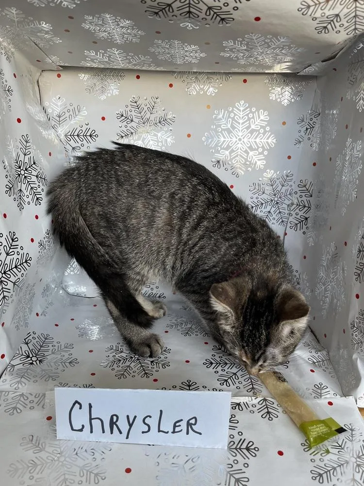 Chrysler thumbnail 3