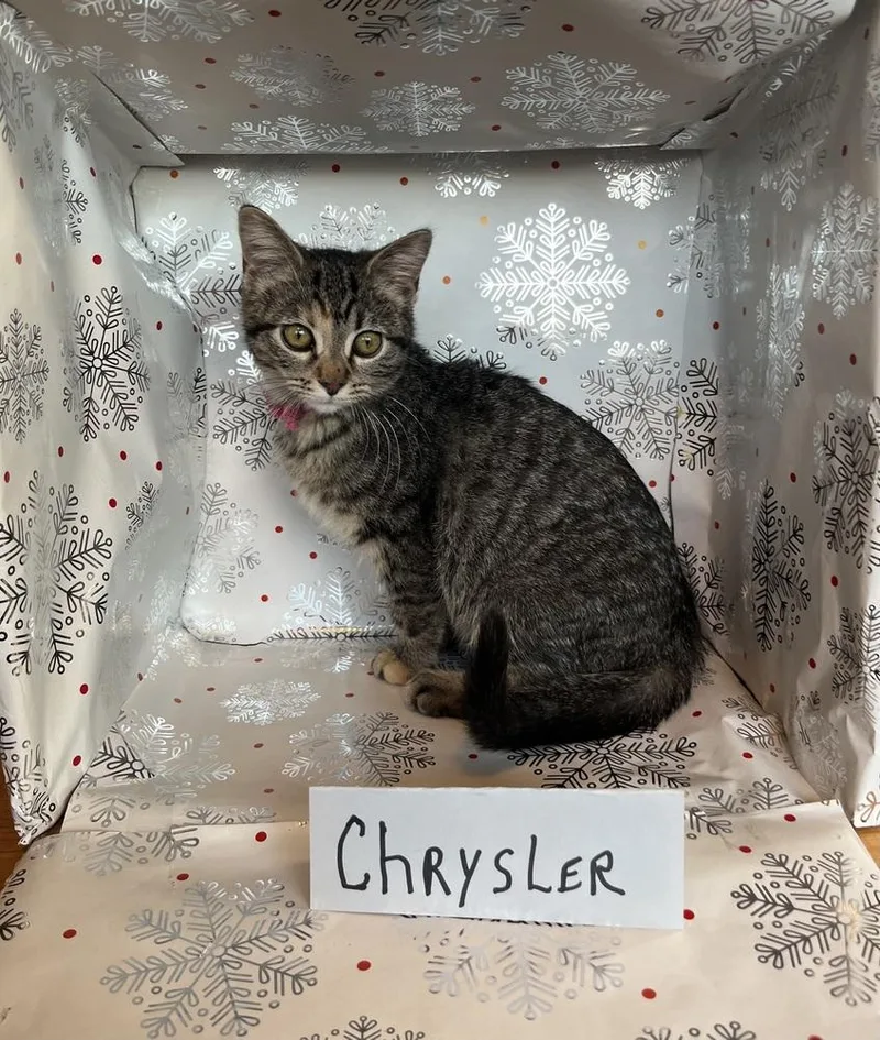 Chrysler thumbnail 4