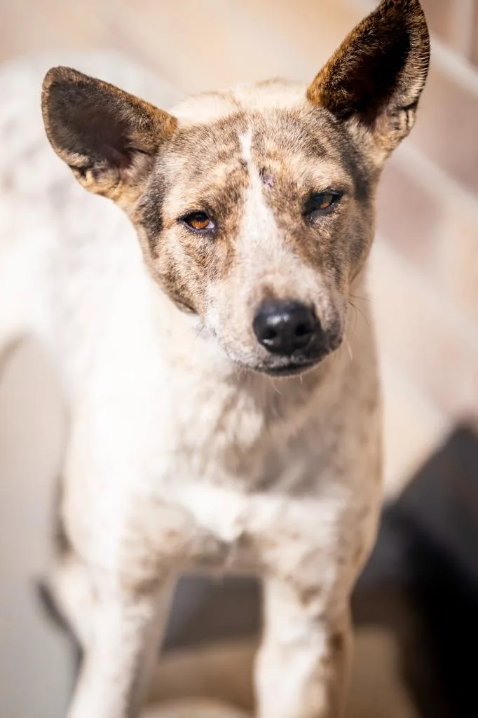 Shinjuku thumbnail 2