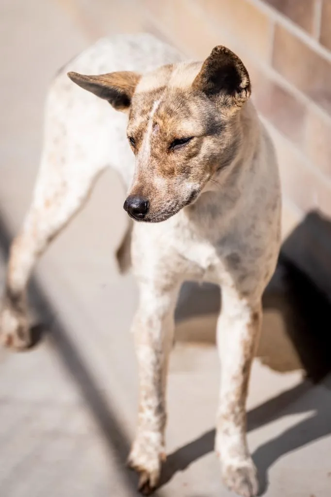 Shinjuku thumbnail 3