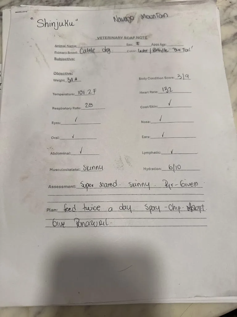 Shinjuku thumbnail 4