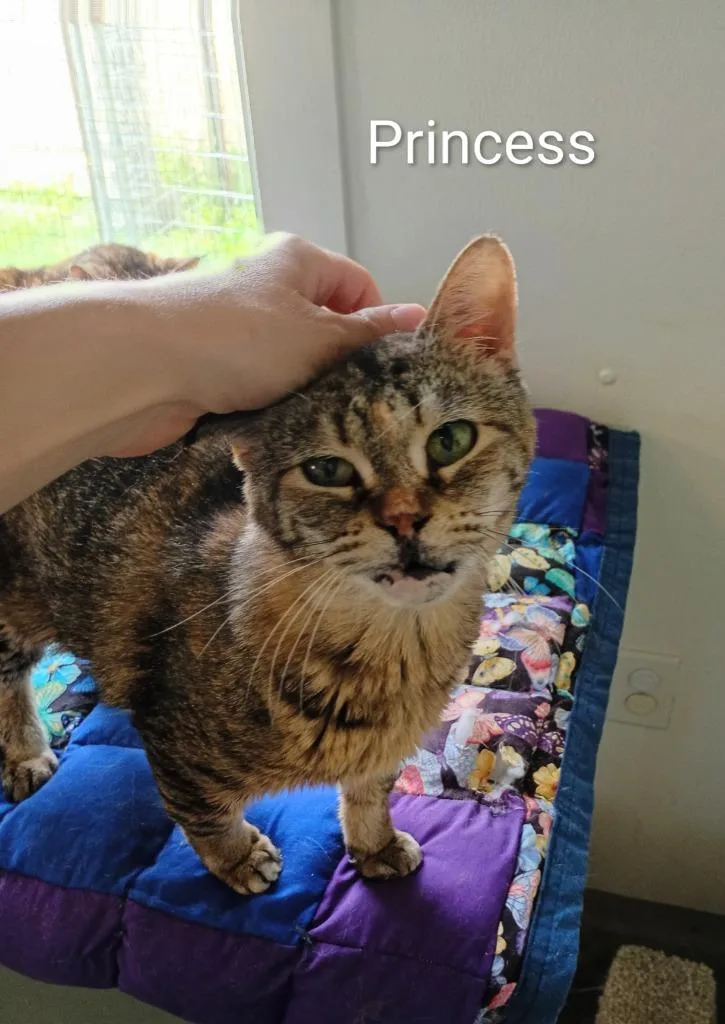Princess thumbnail 3