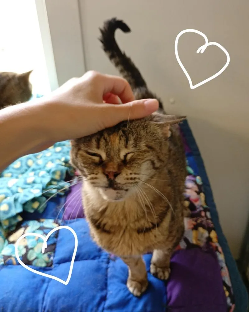 Princess thumbnail 4