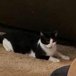 Delilah thumbnail 4