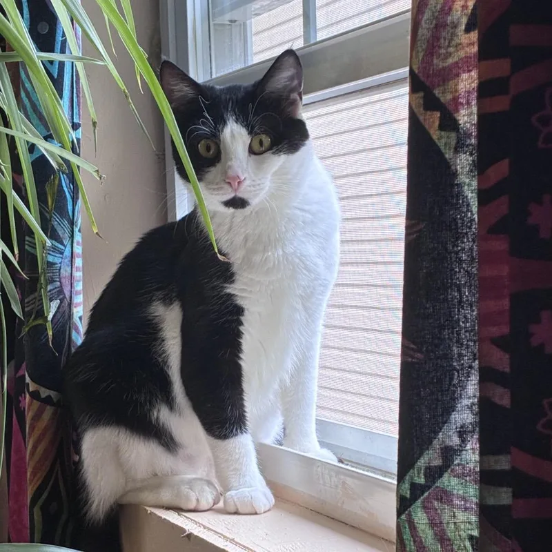 Delilah thumbnail 6