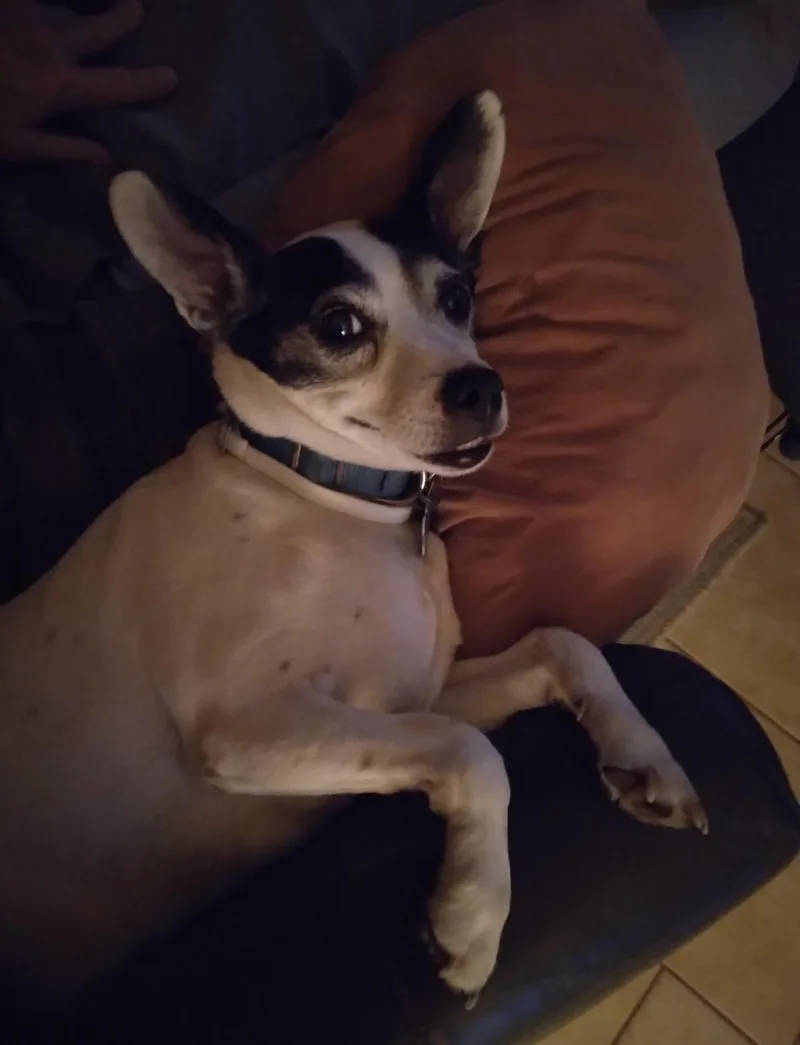 Sebastian thumbnail 2