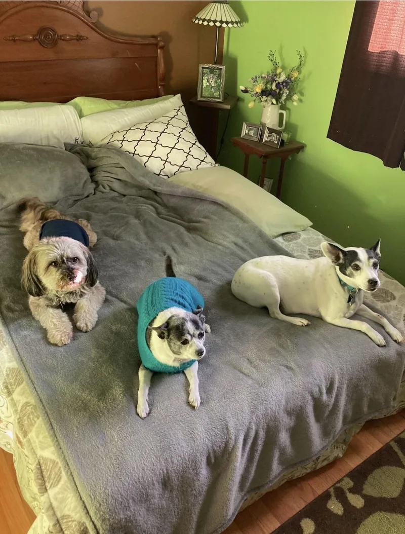 Sebastian thumbnail 3