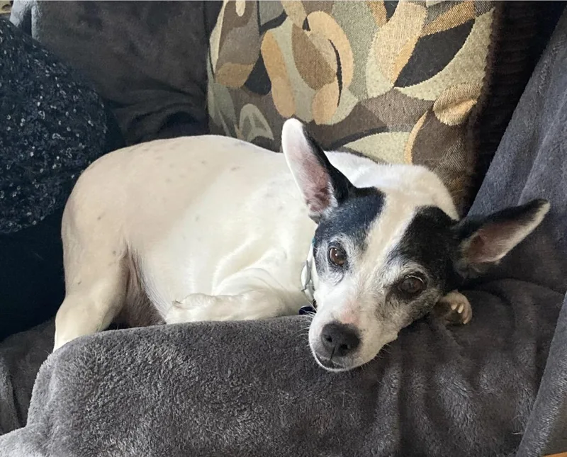 Sebastian thumbnail 4