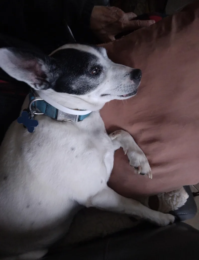 Sebastian thumbnail 5