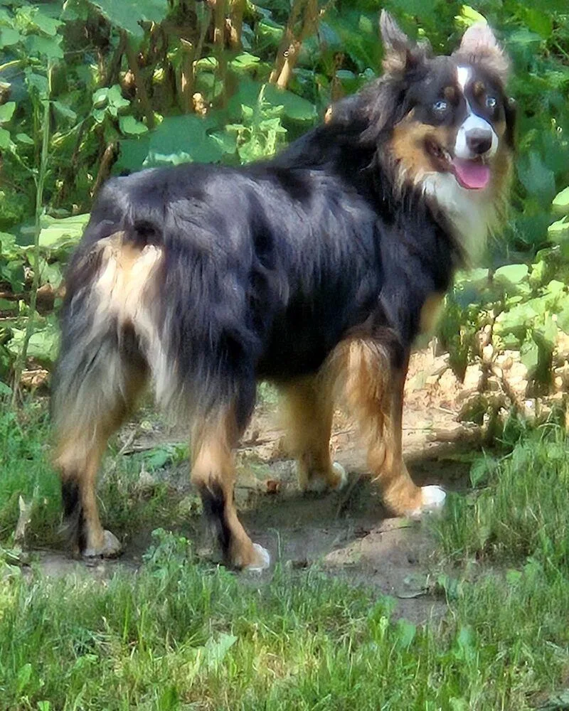 Roxie thumbnail 6