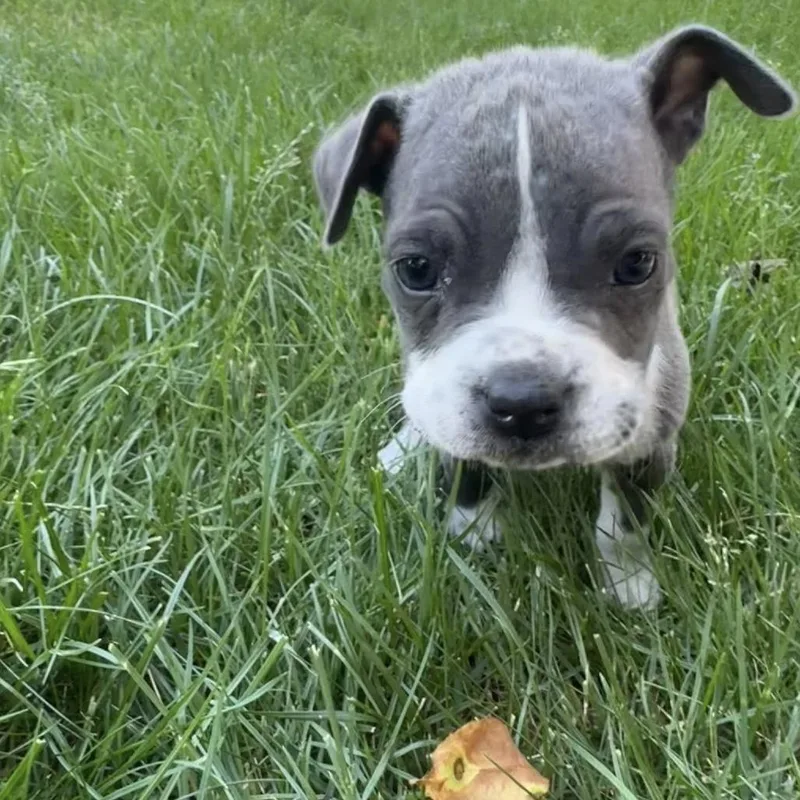 Walter