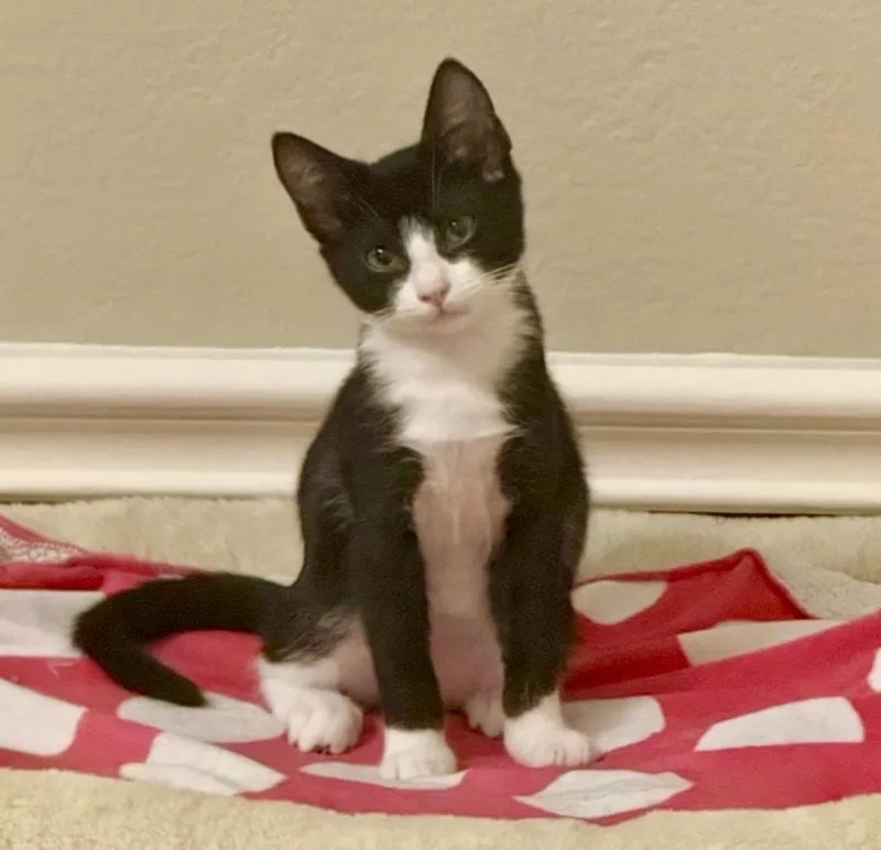Delilah thumbnail 3