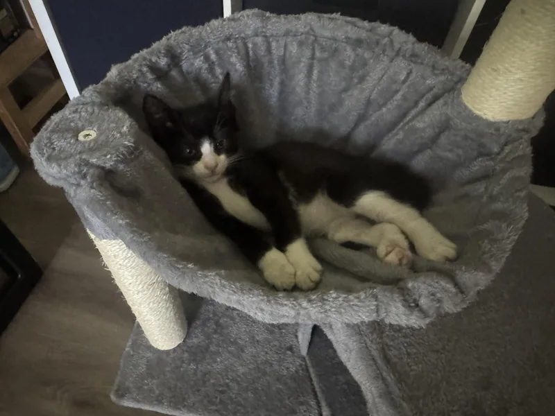 Delilah thumbnail 5