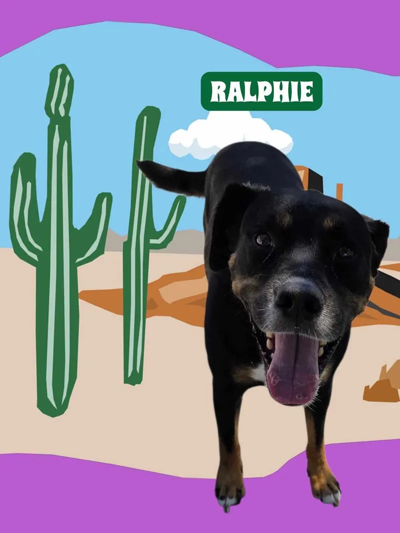 Ralphie