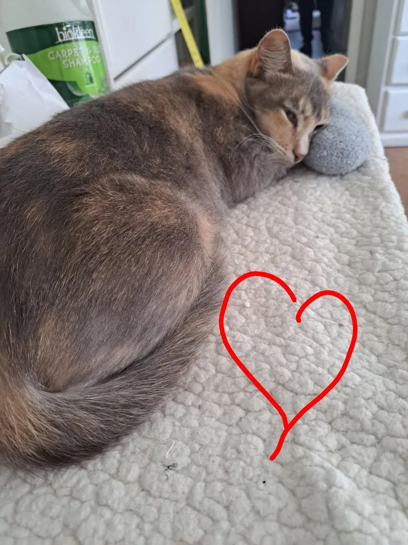 Princess thumbnail 3