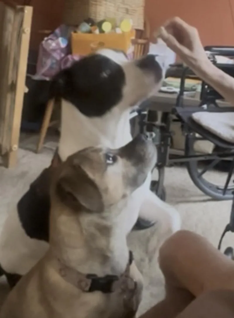 Kalle And Maya thumbnail 2