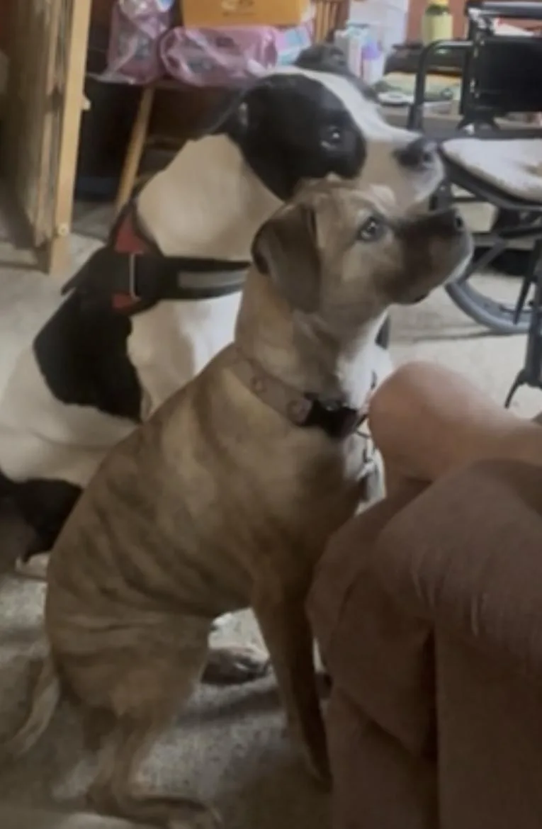 Kalle And Maya thumbnail 3