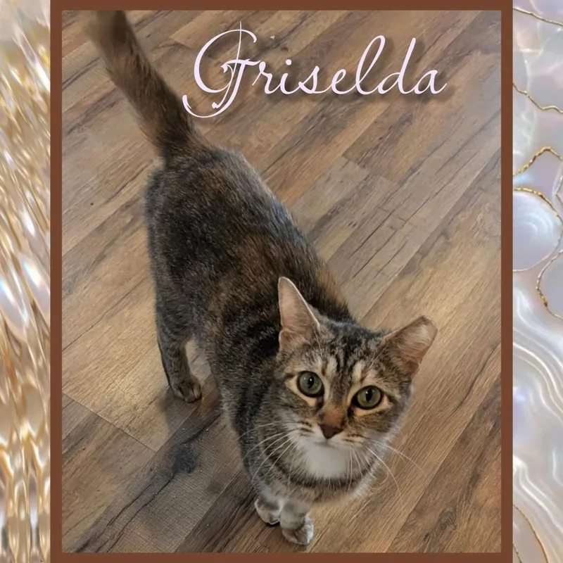 Grizelda thumbnail 2