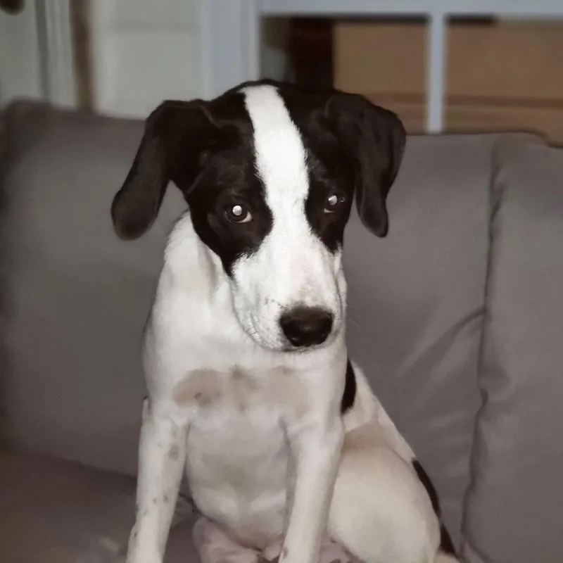 Lil Milo thumbnail 2