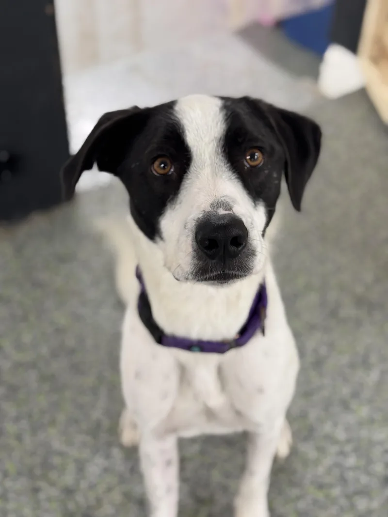 Lil Milo thumbnail 5