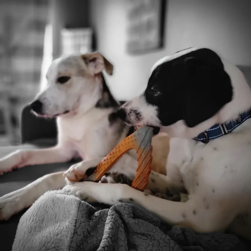 Lil Milo thumbnail 6