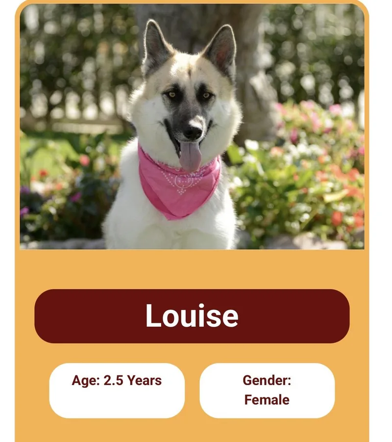 Louise and Thelma Contact thumbnail 2