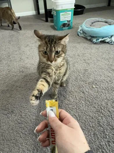 M&m & Lindale thumbnail 2